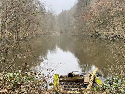 24-02-28 11-11-38 8765